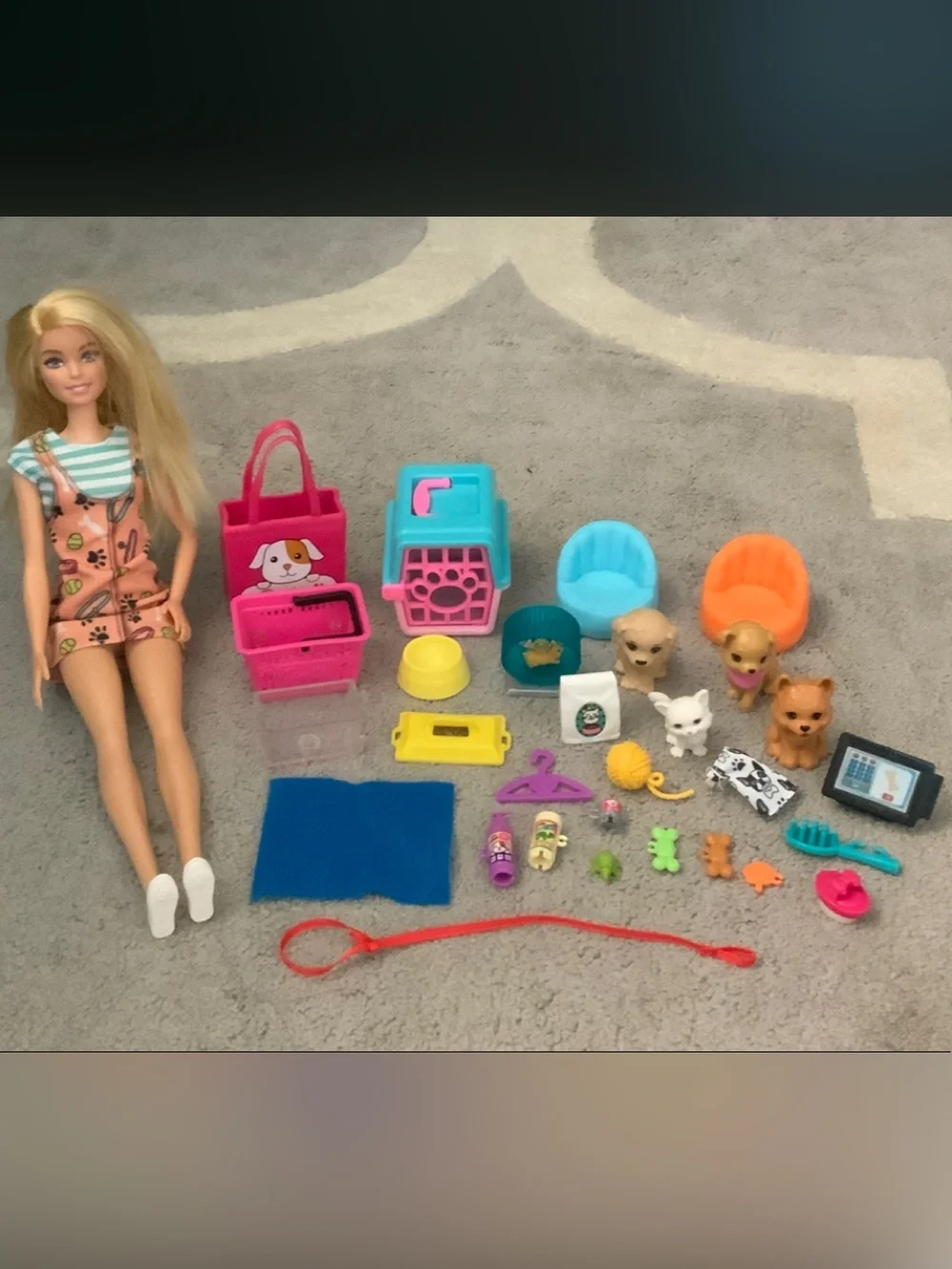 Barbie Pink and Blue Pet Care Playset with Doll and Pets